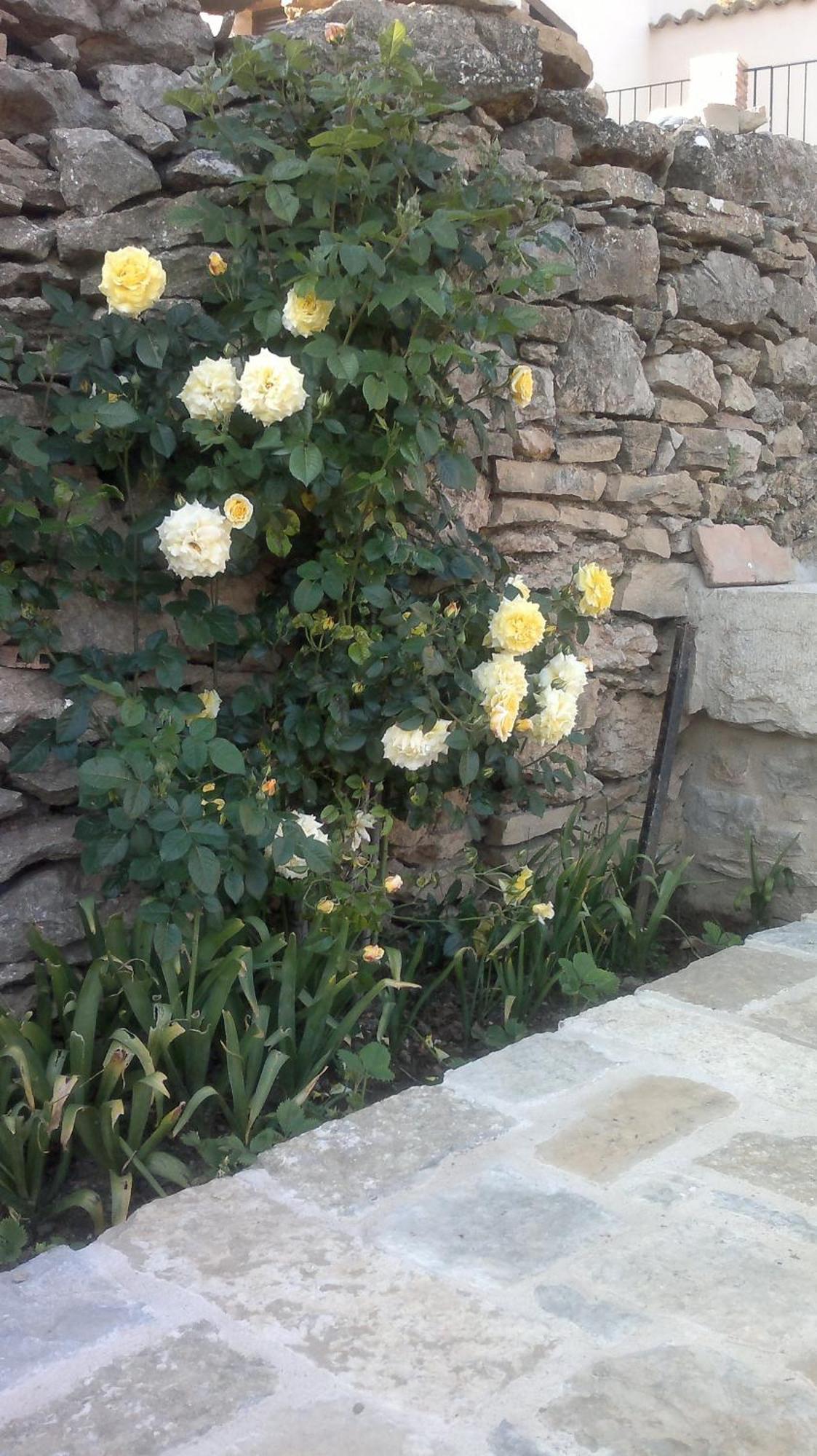 Casa Rural Caseta De L' Hort Villafranca del Cid Buitenkant foto